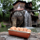 Cinnamon bread from the Grist Mill Bakery